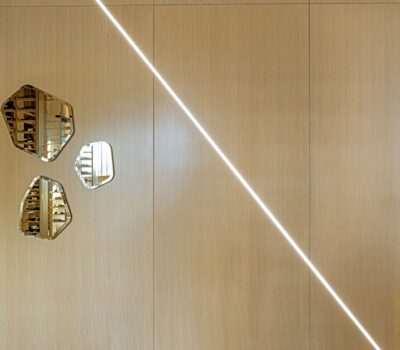 Brown Residence Las Vegas 2025 (32) (1)